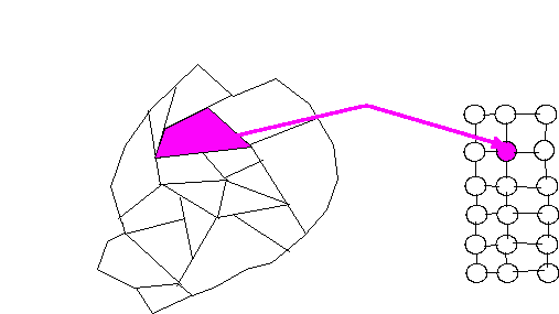 Abbildung: Funktion eines Kohohennetzes