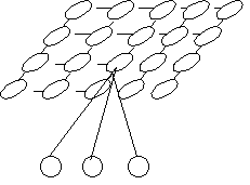 Abbildung : Aufbau eines Kohohennetzes 